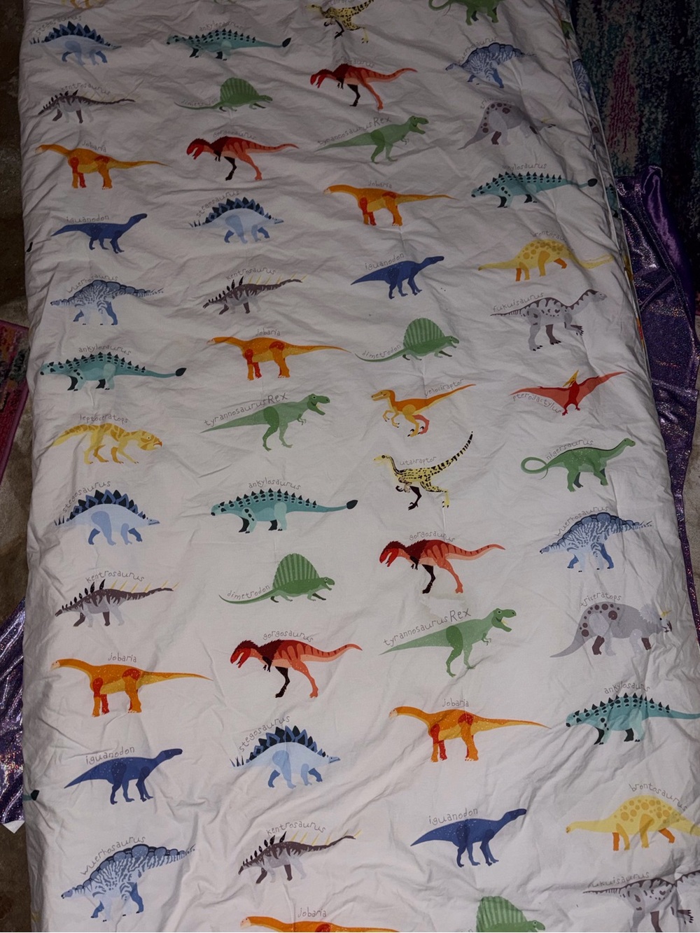 Pottery Barn Dinosaur Comforter